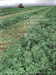 Overseeding and Companion Cropping in Alfalfa