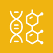 Production of Therapeutic Proteins in Plants 