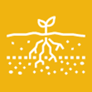 Storie Index Soil Rating