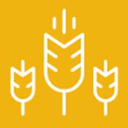 Small Grain Production Pt 6: Pest Management -- Diseases