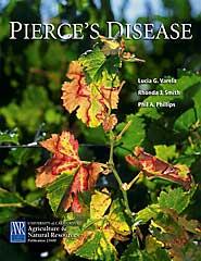 Pierce's Disease