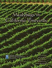 Mealybugs in California Vineyards- PDF