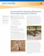 Burrowing Rodents: Developing a Management 
Plan for Organic Agriculture in CA