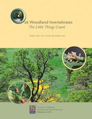 Oak Woodland Invertebrates: The Little Things Count