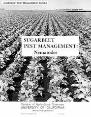 Nematodes: Sugar Beet Management