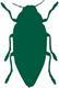 Elm Leaf Beetle: Pest Notes for Home and Landscape