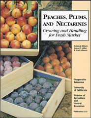 Peaches, Plums, and Nectarines: Growing and Handling for Fresh Market