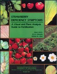 Strawberry Deficiency Symptoms