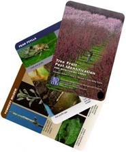 Tree Fruit Pest Identification and Monitoring Cards