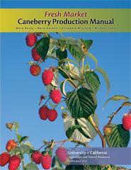 Fresh Market Caneberry Production Manual