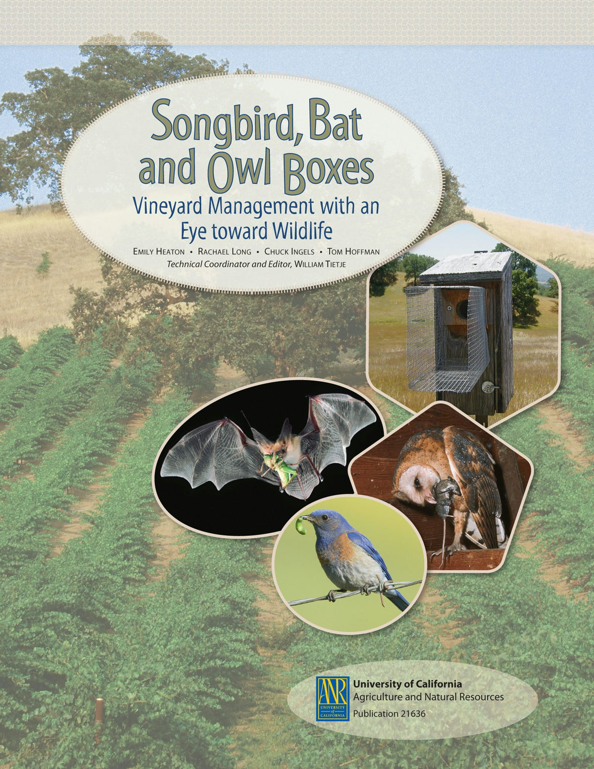 Cover image for Songbird, Bat, and Owl Boxes, isbn: 9781601074850