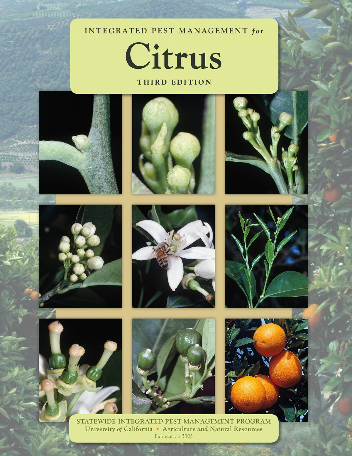 Cover image for Integrated Pest Management for Citrus, isbn: 9781601076960