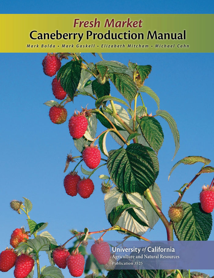 Cover image for Fresh Market Caneberry Production Manual, isbn: 9781601076977