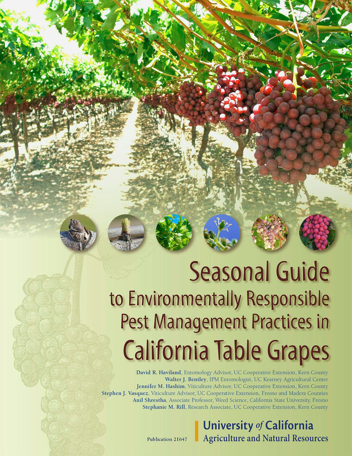 Cover image for Seasonal Guide To Environmentally Responsible Pest Management in California Table Grapes, isbn: 9781601078261