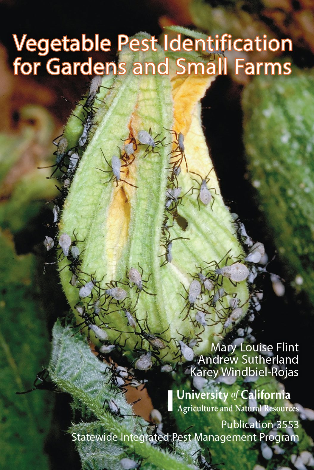 Cover image for Vegetable Pest Identification for Gardens and Small Farms, isbn: 9781627110051