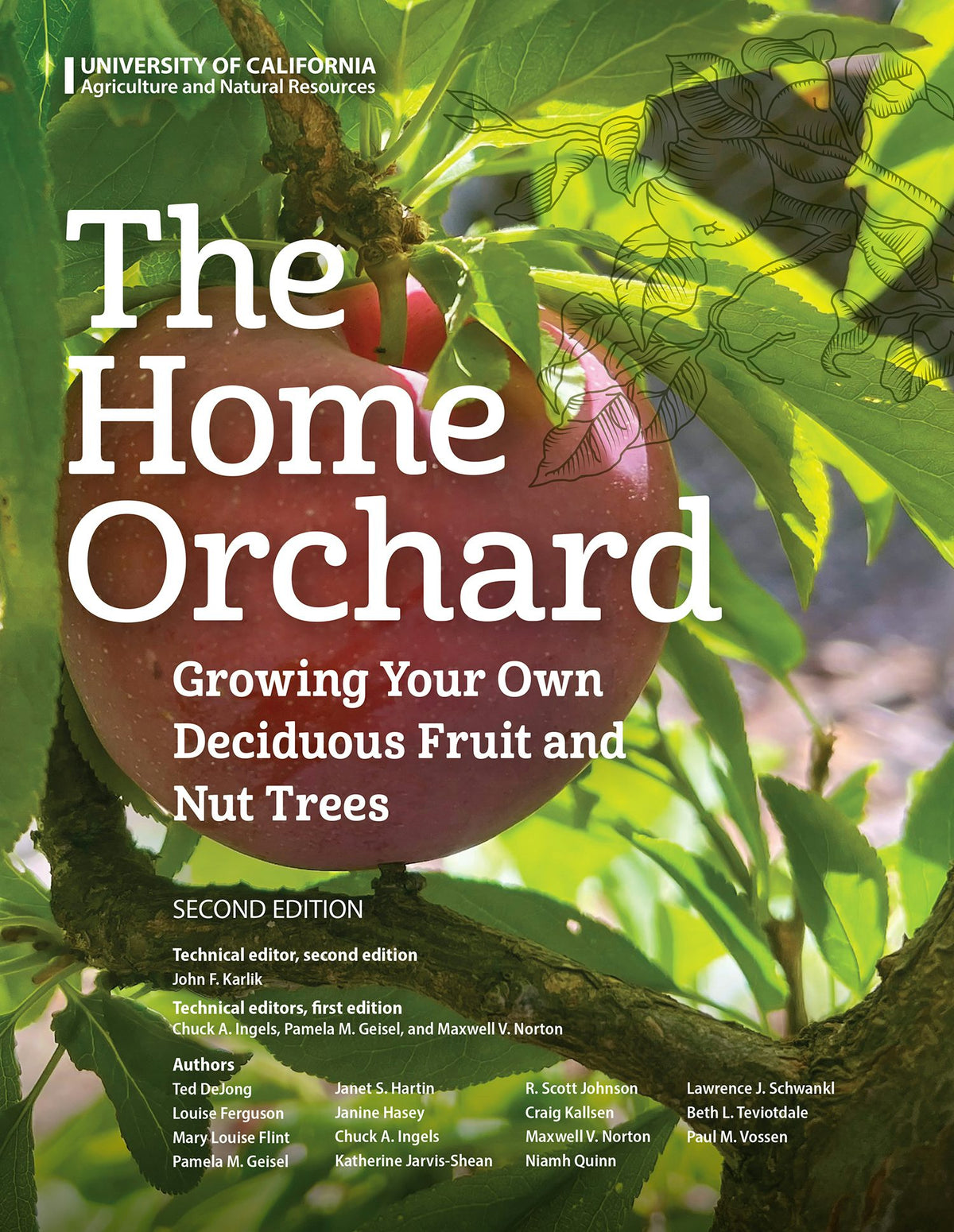 Cover image for Home Orchard, isbn: 9781627112208