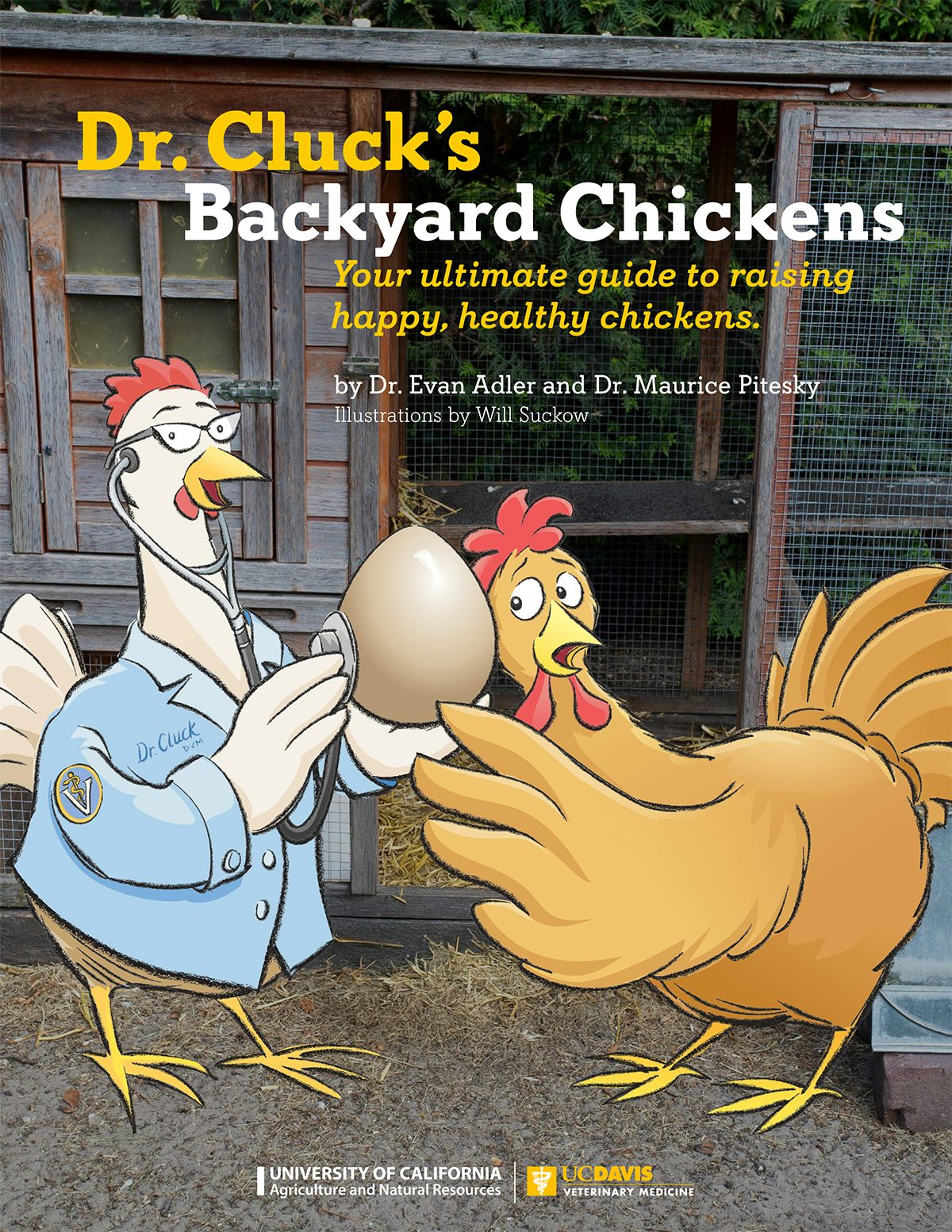 Cover image for Dr. Cluck's Backyard Chickens, isbn: 9781627112703