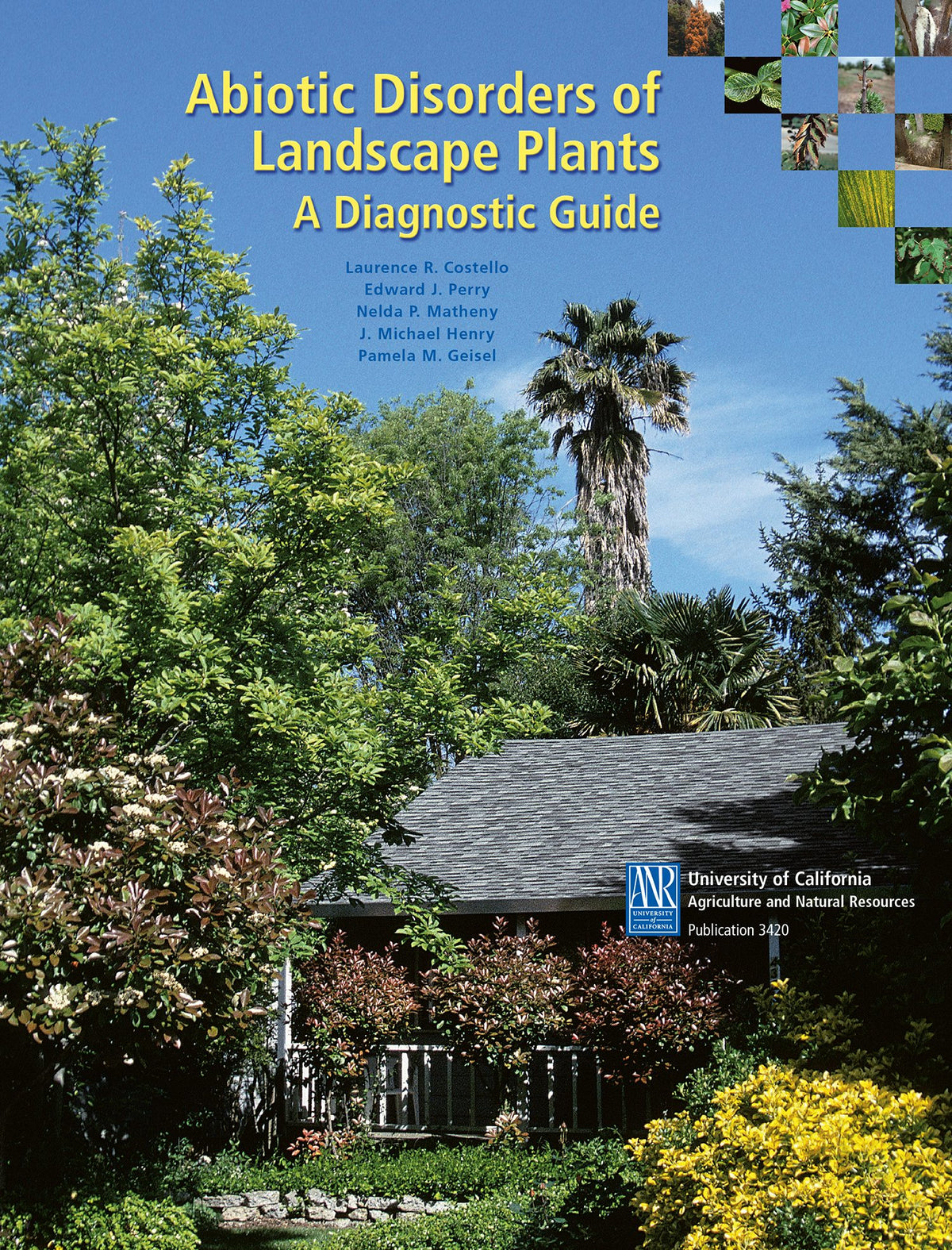 Cover image for Abiotic Disorders of Landscape Plants, isbn: 9781879906587