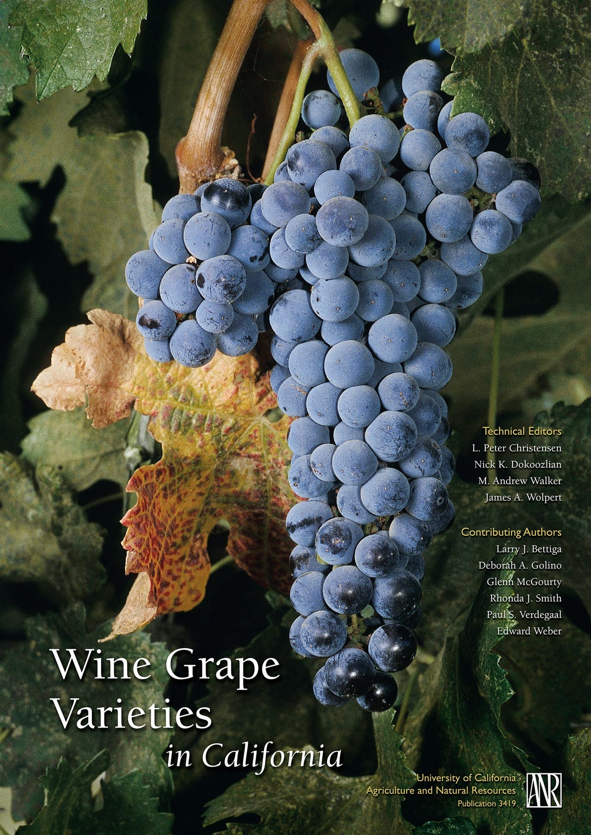 Cover image for Wine Grape Varieties in California, isbn: 9781879906631