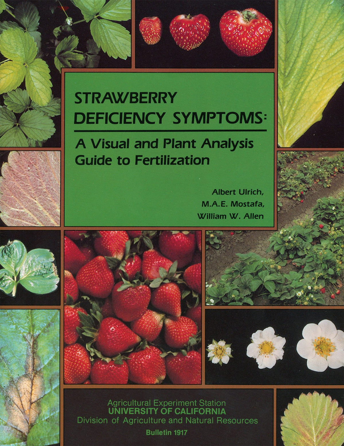 Cover image for Strawberry Deficiency Symptoms, isbn: 9781931876377